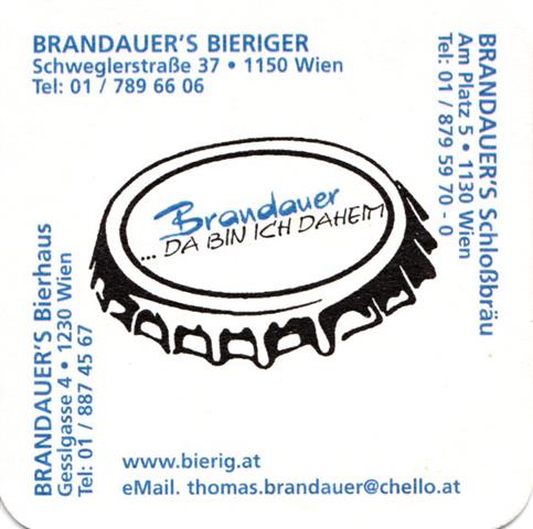 wien w-a brandauer quad 1a (185-brandauer's bieriger-schwarzblau)